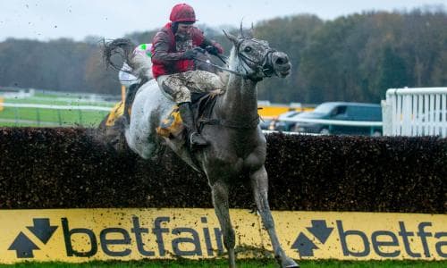 Favour And Fortune can take leg one in £100,000 Cheltenham festival bonus