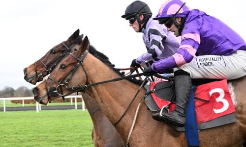 Collectors Item can prove value bet for punters in gruelling Eider Chase | Talking Horses