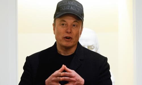 Elon Musk survives as fellow of Royal Society despite anger among scientists