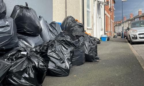 Birmingham bin collection strike offers ‘banquet’ for rats, pest expert says