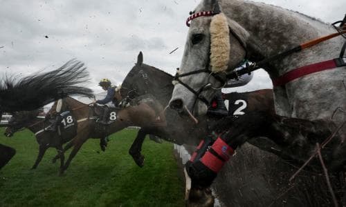 Cheltenham festival day three tips: Il Est Francais can score for French