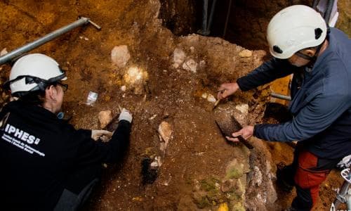 Bone fragments of oldest known human face in western Europe found in Spain