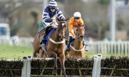 Cheltenham festival pointers await with £100,000 bonus bid at Sandown