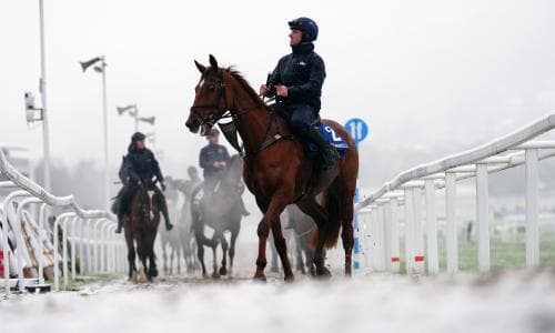 Cheltenham racecourse coated with snow three days after highs of 18C