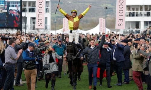 How Ireland came to dominate big-money era at Cheltenham festival