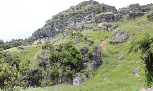 Police launch new search for fugitive father and children missing in New Zealand wilderness for three years