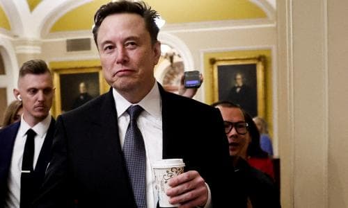 Hooray! A new year gift from Elon Musk | Brief letters