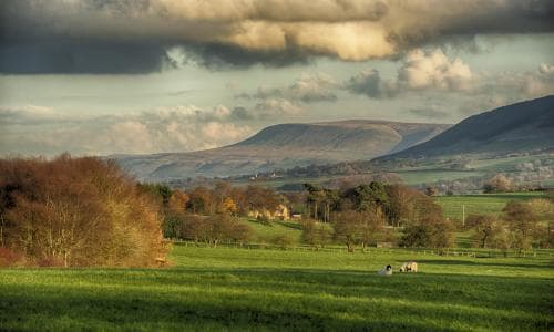 Richest farmers in England may lose sustainability funding in Defra review